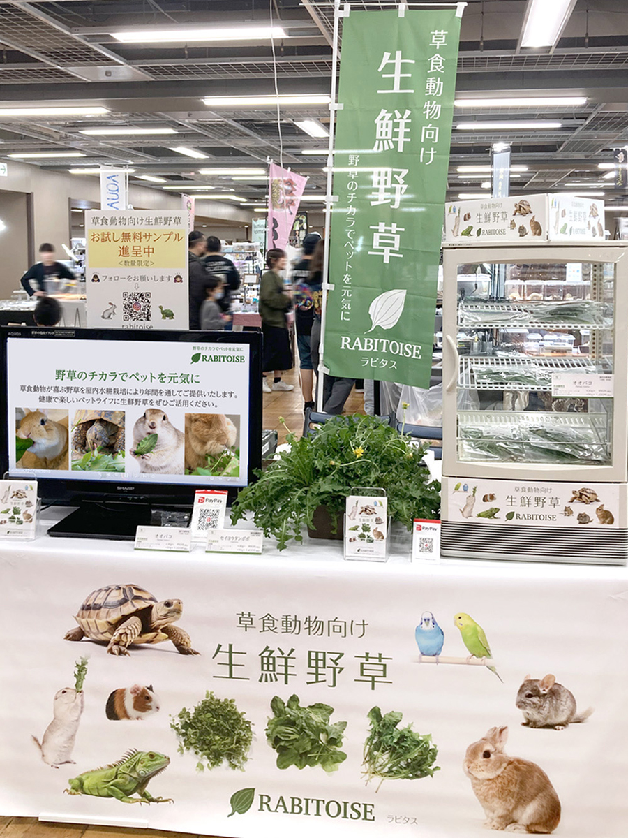 ラビタス出展　ローデンツ東京