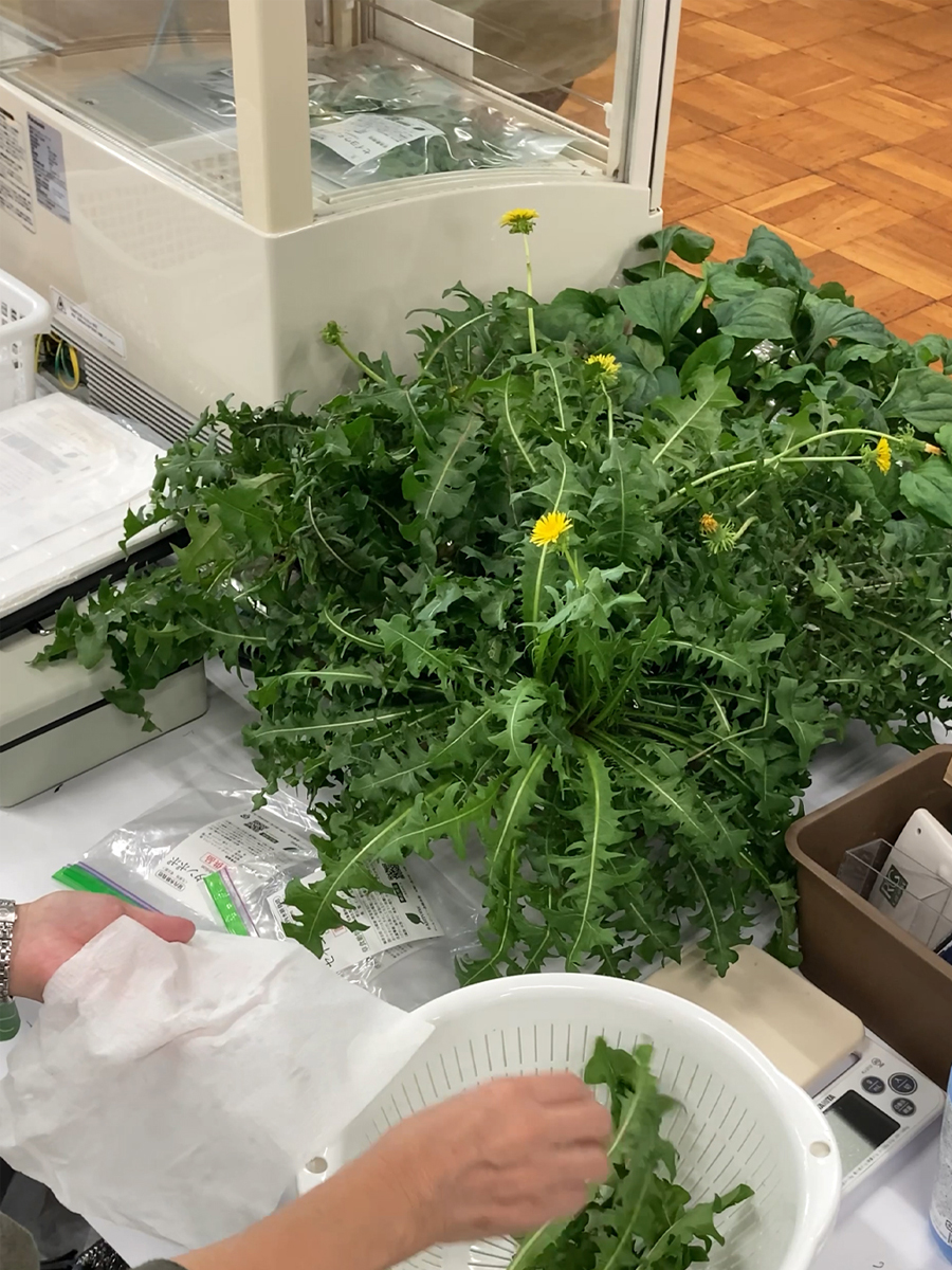 ラビタス出展　ローデンツ東京