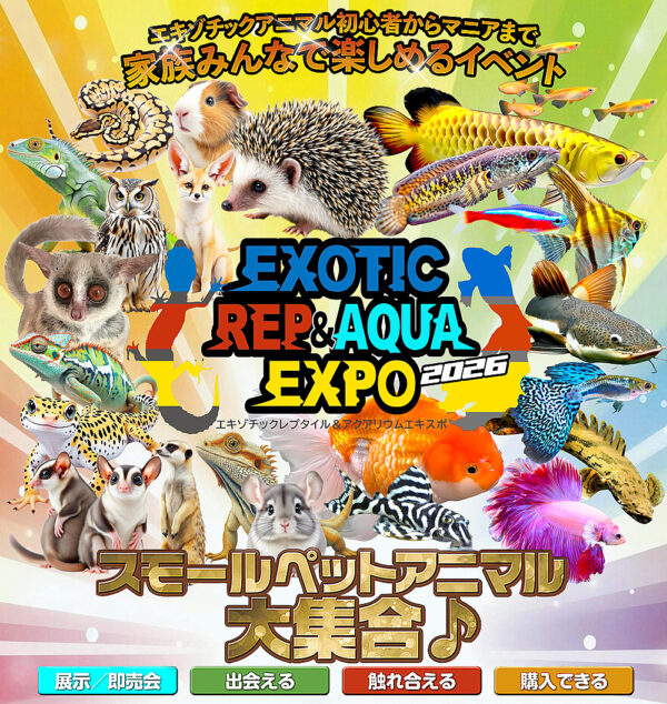 エキゾチックレプ&アクアエキスポ