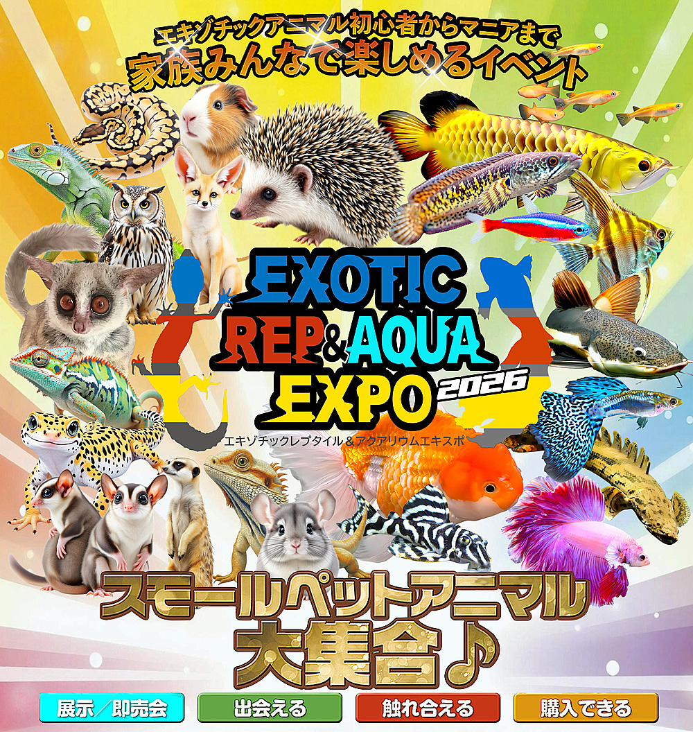 エキゾチックレプ&アクアエキスポ