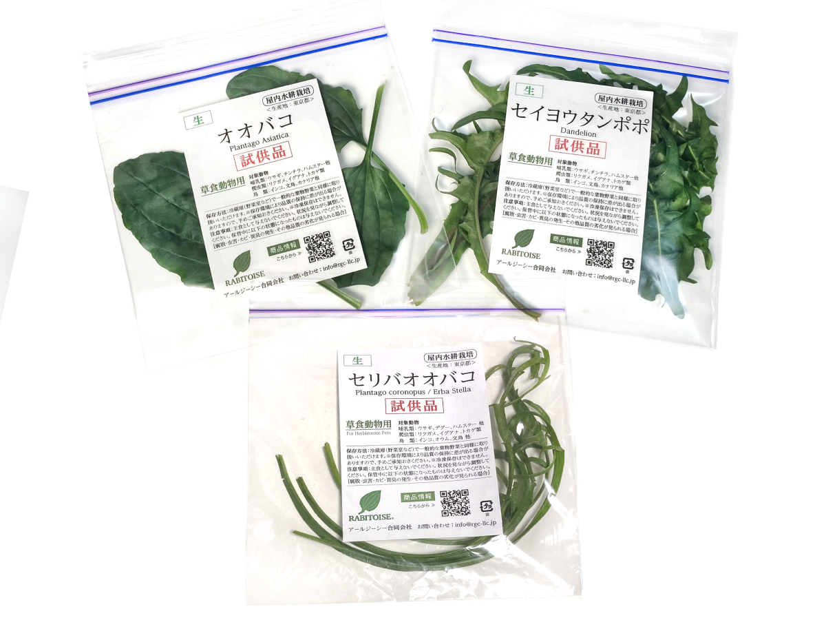 ペットエコ都筑店イベントRABITOISE生鮮野草サンプリング、販売会