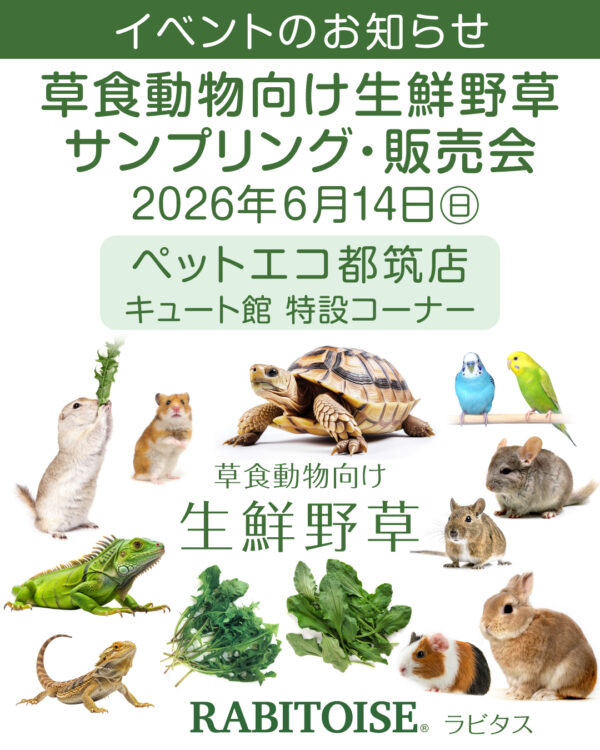 ペットエコ都筑店イベントRABITOISE生鮮野草サンプリング、販売会