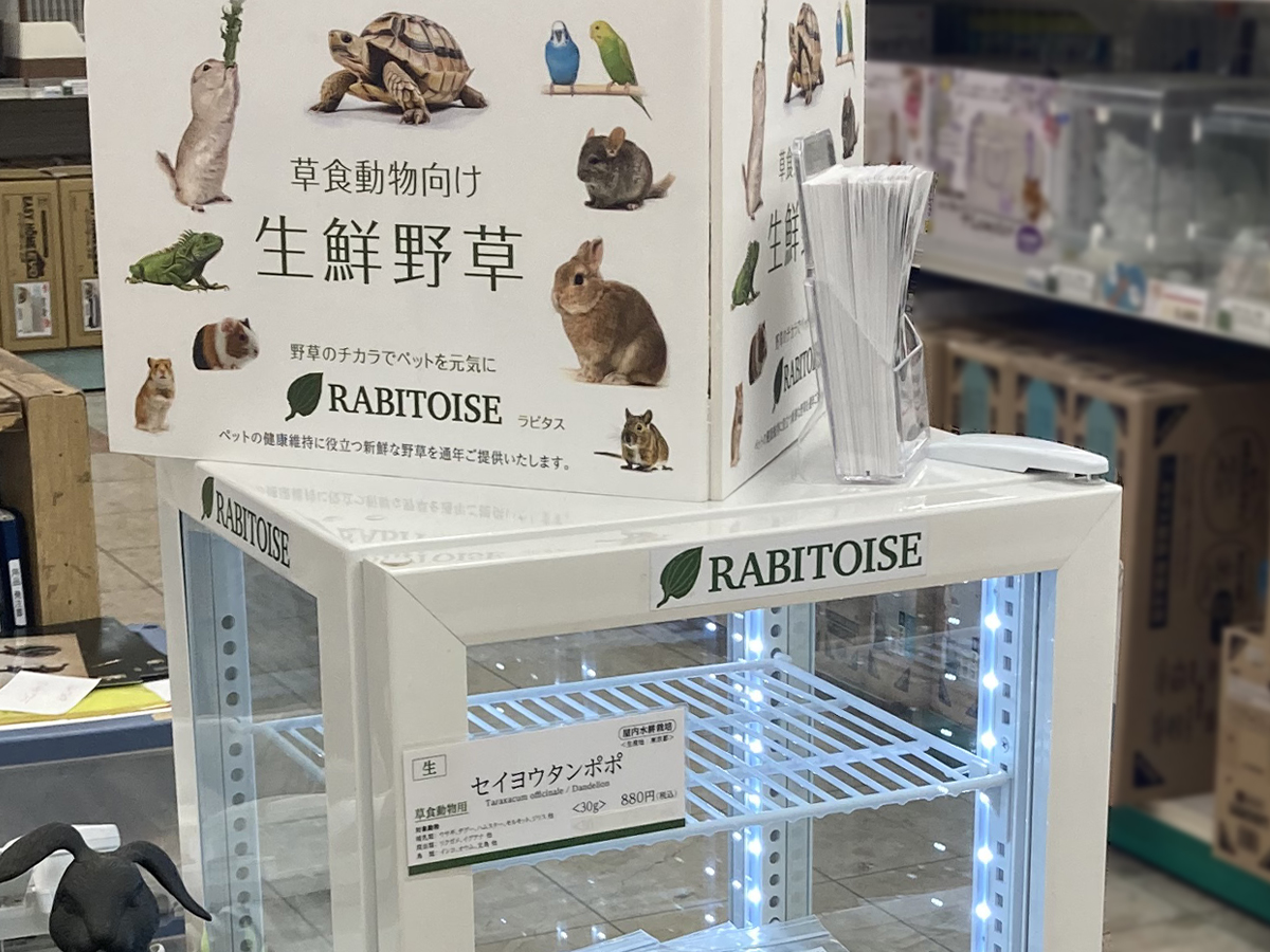 ペットエコ都筑店 RABITOISE生鮮野草を販売中