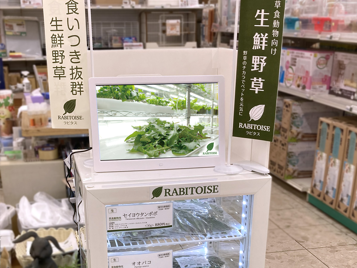 ペットエコ都筑店 RABITOISE生鮮野草を販売中