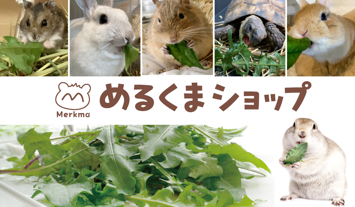 めるくまショップ